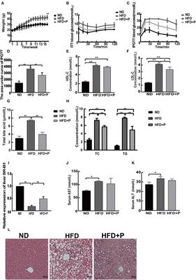 Effects of cholesterol-lowering probiotics on non-alcoholic fatty liver disease in FXR gene knockout mice